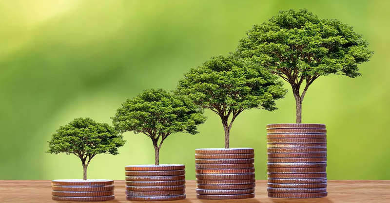 Des arbres poussant sur des piles de pièces ou monnaies symbolisant la croissance financière et l’investissement progressif. 🌱💰